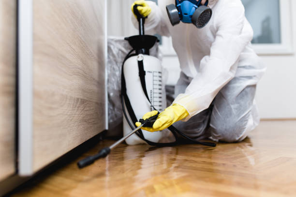 Best Pest Inspection Near Me  in Mound, MN