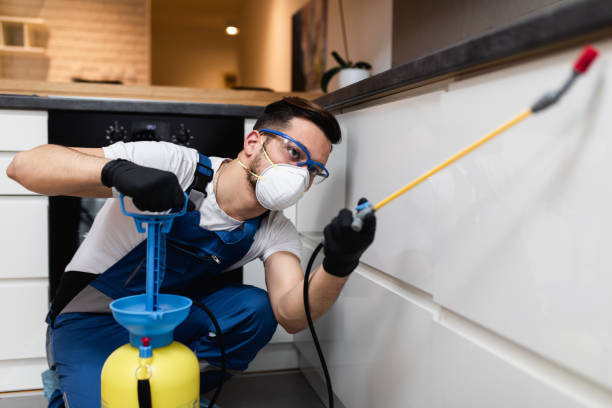 Best Residential Pest Control  in Mound, MN