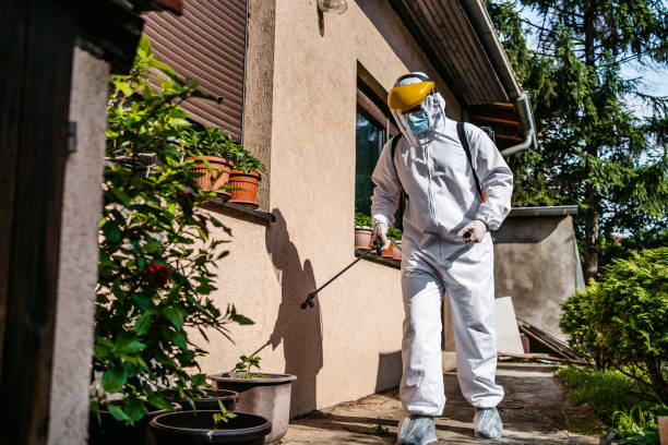 Best Termite Control Services  in Mound, MN