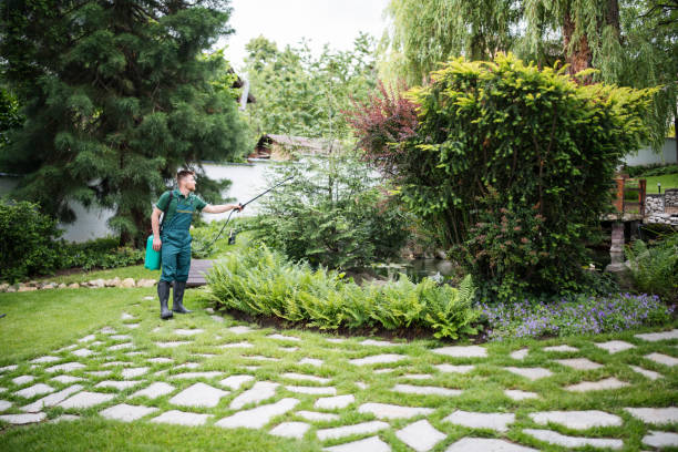 Best Pest Removal Services  in Mound, MN