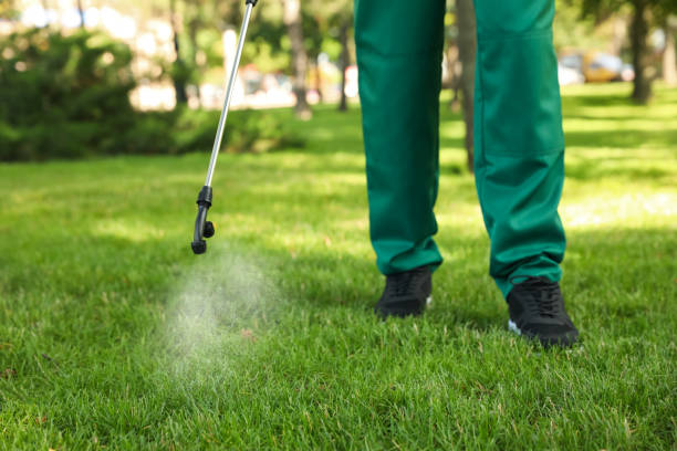 Best Best Pest Control Companies  in Mound, MN